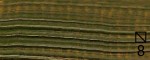 Farba olejna renesans oil of arts 71 sap green f1.jpg