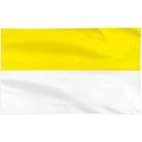 flaga papieska zółto biała.jpg