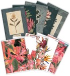 Zeszyt A5 TOP 2000 Flowers 60-kartkowy w linie