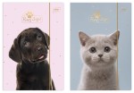Teczka rysunkowa z gumką A4 Interdruk Puppy Sign - różne wzory