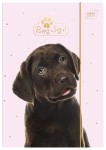Teczka A4 Puppy Sign_5902277215406_1.jpg