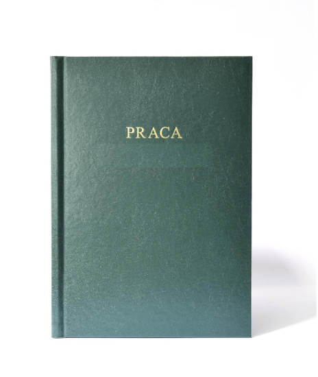 okładka kanałowa A praca licencjacka skóra zielona.PNG