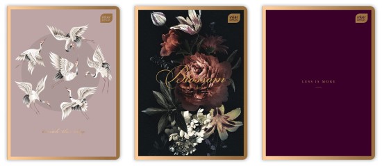 Zeszyt B5 80 # Satin Gold Intedruk.jpg