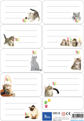 Naklejki na zeszyty / książki Tetis Koty 42 x 76 mm - 9 sztuk