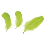 piórka dekoracyjne titanum jasnozielone limonka_f.jpeg