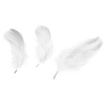 piórka dekoracyjne titanum białe_f.jpeg