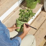 marker woskowy sharpie.jpg