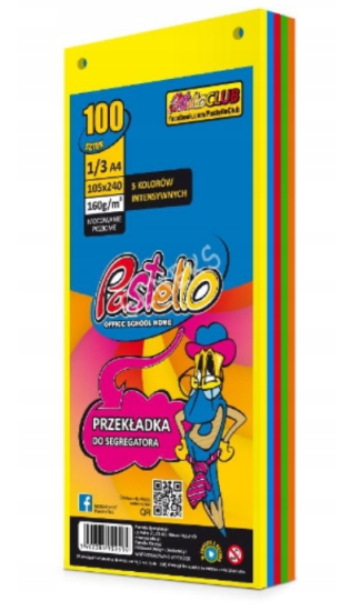 pastello mix kolorów przekładek do segregatora 5 kolorów intensywnych.PNG