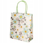 torebka prezentowa incood 21x25 biała kraft_WZÓR 01.jpg