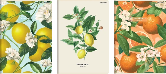 zeszyt top 2000 a4 w miękiej oprawie w kratkę 60 kartek summer.png