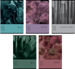 zeszyt top 2000 80 kartke kratka botany.png