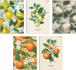 Zeszyt A5 TOP 2000 Summer Harvest Club 60-kartkowy w linie