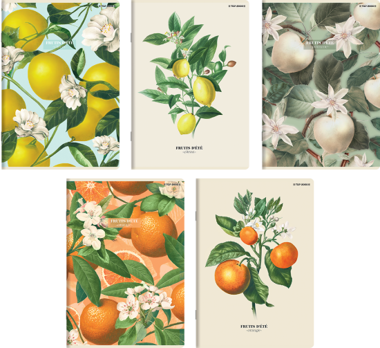 zeszyt top 2000 60 kartek linia summer harvest club.png