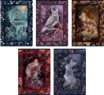 zeszyt top 2000 32 kartek linia fairytale.png