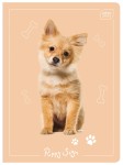Zeszyt A5 16 # Puppy Sign 5902277226921 _4 copy.jpg