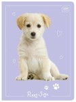 Zeszyt A5 16 # Puppy Sign 5902277226921 _3 copy.jpg