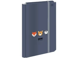 Teczka skrzydłowa Interdruk BB Friends Boys z gumką 3,5 cm