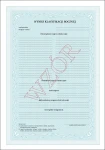 mein-i-3-1-swiadectwa-szkolne_szkoła podstawowa_IV-VII_tył.webp