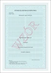 mein-i-8-1-swiadectwa-szkolne_ukończenie szkoły podstawowej z zabezpieczeniami_tył.webp