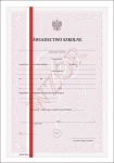 MEiN-I/20-w/2 Świadectwo szkolne promocyjne z wyróżnieniem - technikum
