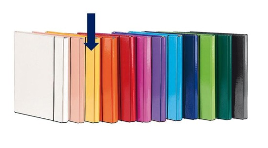 teczka pastello skrzydłowa 2 cm żółta.JPG