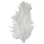 piórka dekoracyjne 50 sztuk białe_f.jpeg