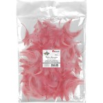 piórka dekoracyjne titanum różowy pastelowy.jpeg