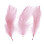 piórka dekoracyjne titanum różowy pastelowy_f.jpeg