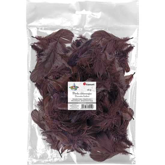 piórka dekoracyjne titanum brązowe.jpeg