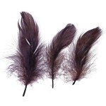piórka dekoracyjne titanum brązowe_f.jpeg