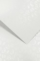 Karton ozdobny Galeria Papieru A4 220g - 20 arkuszy - małe róże biały