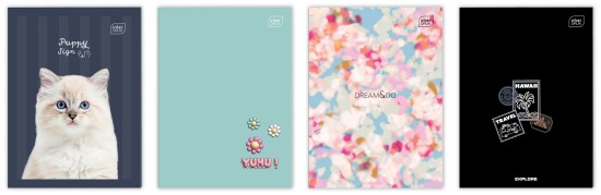 Zeszyt do słówek A6 16 # mix 5902277110008.jpg