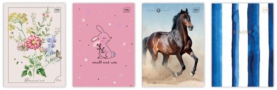 Zeszyt do słówek A6 32 # mix 5902277217523.jpg