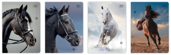 Zeszyt A5 32 # UV Wild Horses 5902277366573.jpg
