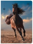 Zeszyt A5 32# UV Wild Horses 5902277366573 (2).jpg