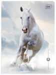 Zeszyt A5 32# UV Wild Horses 5902277366573 (3).jpg