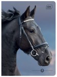 Zeszyt A5 32# UV Wild Horses 5902277366573 (4).jpg