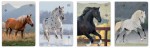 Zeszyt A5 32 kolorowa 3= UV Wild Horses 5902277366733.jpg