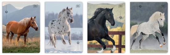Zeszyt A5 32 kolorowa 3= UV Wild Horses 5902277366733.jpg