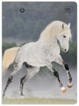 Zeszyt A5 32 kolorowa 3= UV Wild Horses 5902277366733 (4).jpg
