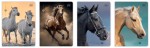 Zeszyt A5 16 # UV Wild Horses 5902277366320.jpg