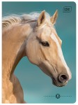 Zeszyt A5 16# UV Wild Horses 5902277366320 (2).jpg