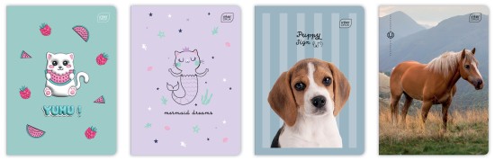 Zeszyt A5 16 kolorowa 3= UV Girls mix 5902277366429.jpg