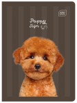 Zeszyt A5 16 kolorowa 3= UV Puppy Sign 5902277348272 (4).jpg