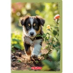 zeszyt herlitz animals_WZÓR 04.webp