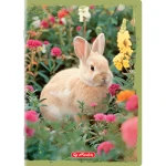 zeszyt herlitz animals_WZÓR 05.webp