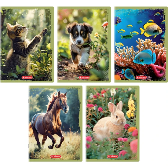 zeszyt herlitz animals.webp