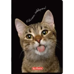 zeszyt 60 kratka herlitz crazy animal_WZÓR 01.webp