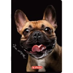 zeszyt 60 kratka herlitz crazy animal_WZÓR 03.webp