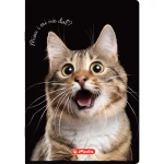 zeszyt 60 kratka herlitz crazy animal_WZÓR 04.webp